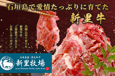 石垣島産 黒毛和牛 新里牛 多用途抜群! 切落し (500g×2) 合計1kg SZ-12