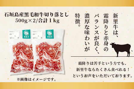 石垣島産 黒毛和牛 新里牛 多用途抜群! 切落し (500g×2) 合計1kg SZ-12