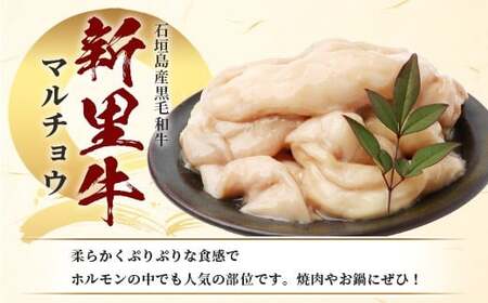 石垣島産 黒毛和牛 新里牛 マルチョウ(500g×2) 合計1kg SZ-22