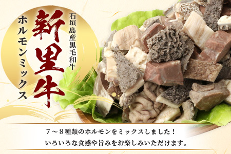石垣島産 黒毛和牛 新里牛 ホルモンミックス(500g×2) 合計1kg SZ-23
