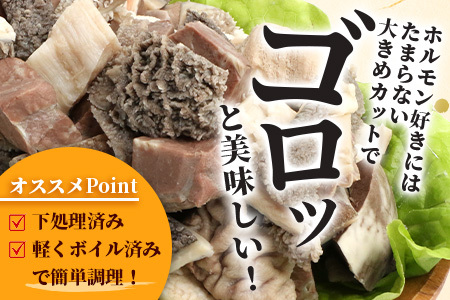石垣島産 黒毛和牛 新里牛 ホルモンミックス(500g×2) 合計1kg SZ-23