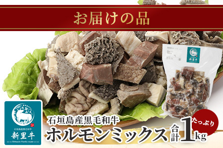 石垣島産 黒毛和牛 新里牛 ホルモンミックス(500g×2) 合計1kg SZ-23