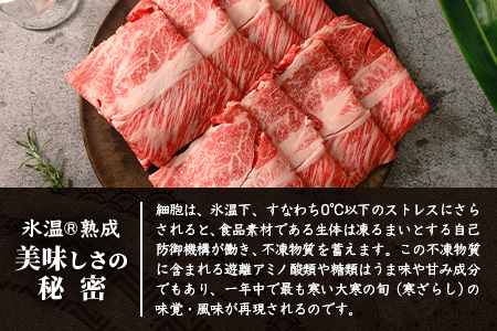 【氷温熟成】石垣島産 黒毛和牛 肩ローススライス 500g お肉 肉 牛肉 冷凍 すきやき すき焼き 牛丼 和牛 しゃぶしゃぶ 八重山食肉センター 肩ロース YC-3