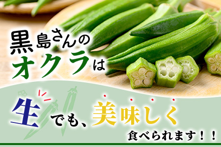 希少！黒島さんの採れたてオクラ100本セット（特別栽培、栽培期間中農薬不使用）3月～順次発送【 沖縄県 石垣市 沖縄 石垣 石垣島 希少 おくら オクラ 野菜 採れたて フレッシュな野菜 夏野菜 冬野菜 南国 離島のいいもの 沖縄いいもの石垣島 】OI-7