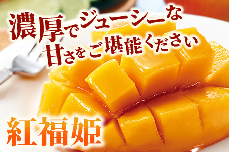 訳あり【2026年発送 予約受付分】「紅福姫ブランド」石垣島のマンゴー 約1.2kg OT-01