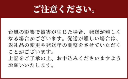 訳あり【2026年発送 予約受付分】「紅福姫ブランド」石垣島のマンゴー 約1.2kg OT-01