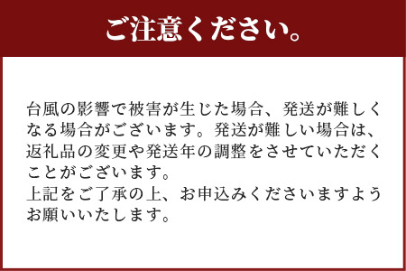 訳あり【2026年発送 予約受付分】「紅福姫ブランド」石垣島のマンゴー 約1.2kg OT-01