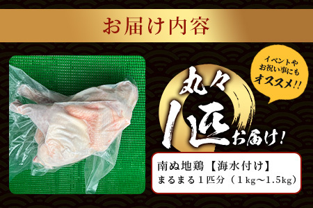 石垣島 南ぬ地鶏(海水付け) まるまる1匹分（1kg～1.5kg）ローストチキン イベント お祝い パーティ 肉 鶏肉 鳥肉 地鶏 精肉 UF-12