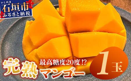 《2026年6月下旬～7月下旬発送》【先行予約】最高糖度20度！？ 完熟！3Lサイズ 石垣島マンゴー 約400g【 沖縄 石垣島 石垣 八重山 マンゴー 完熟マンゴー 期間限定 数量限定 沖縄県 石垣島産 】TF-10-1_R8