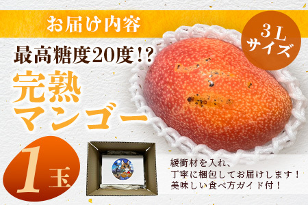 リアル 摘果マンゴー3/16② （摘果マンゴー 10kg Size 30~274（ゴヒイキ）） 果物