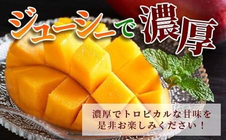 ［予約受付］美ら姫マンゴー1kg（完熟・アーウィン種）≪2026年7月中旬～順次発送≫【 産地直送 沖縄県 石垣市 マンゴー フルーツ 果物 南国 石垣島 】CB-1