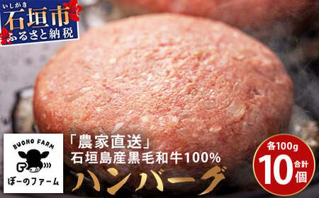 ＜先行予約＞「農家直送」石垣島黒毛和牛１００％ハンバーグ 100g×10個 《2025年3月以降順次発送》【 沖縄県 石垣 直送 黒毛 和牛 ハンバーグ 】 BO-1