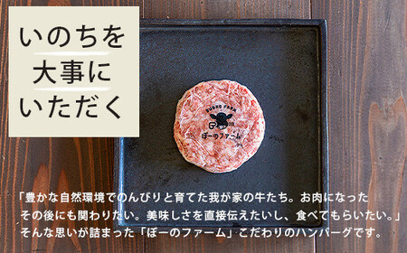 ＜先行予約＞「農家直送」石垣島黒毛和牛１００％ハンバーグ 100g×10個 《2025年3月以降順次発送》【 沖縄県 石垣 直送 黒毛 和牛 ハンバーグ 】 BO-1