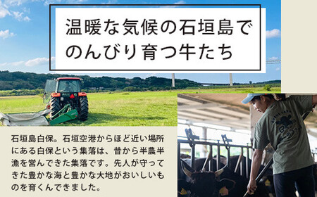 ＜先行予約＞「農家直送」石垣島黒毛和牛１００％ハンバーグ 100g×10個 《2025年3月以降順次発送》【 沖縄県 石垣 直送 黒毛 和牛 ハンバーグ 】 BO-1