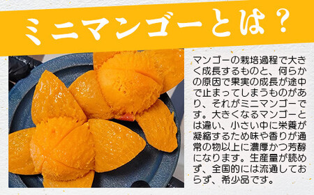 《2026年7月以降発送》最高糖度20度！？ 完熟！石垣島産冬眠ミニマンゴー 【 沖縄 石垣 数量限定 フルーツ ミニ マンゴー 冷凍 完熟 真空 】TF-18-1_R8