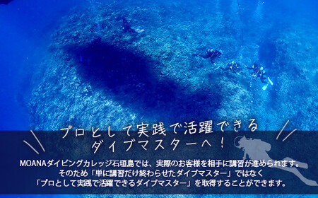 【ダイビングライセンス】PADIダイブマスターコース 7~8日間 1名様 MO-5