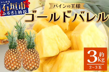【2026年6月上旬より順次発送予定】最高級パイン ゴールドバレル2~3玉セット【 沖縄 石垣 パイナップル パイン ゴールド バレル 高級 セット 】TD-1-1
