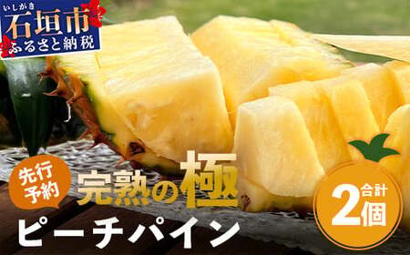 《2026年4月以降順次発送》最高糖度20度！？ 完熟の極 石垣島産パイナップル ピーチパイン2個セット【 沖縄 石垣島 石垣 八重山 パイン ピーチパイン 期間限定 数量限定 沖縄県 石垣島産 】TF-19-1_R8