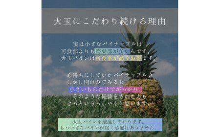 大玉ピーチパイン 3玉 約3.0kg