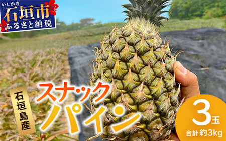 【先行予約】《2026年5月上旬頃より順次発送》石垣島産 スナックパイン (3玉 約3kg) 【 産地直送 沖縄 石垣 パイナップル パイン スナック フルーツ トロピカル 南国 】TP-7-1