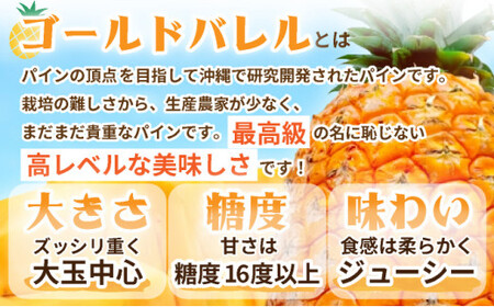 ＜先行予約＞ 石垣島産 ゴールドバレルパイン 大玉3個入り 約5.1kg ＜2026年7月以降発送＞ | 産地直送 沖縄 石垣 フルーツ パイナップル パイン ゴールドバレルパイン SI-40