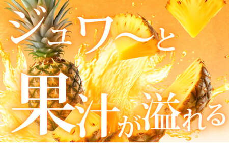 ＜先行予約＞ 石垣島産 ゴールドバレルパイン 大玉3個入り 約5.1kg ＜2026年7月以降発送＞ | 産地直送 沖縄 石垣 フルーツ パイナップル パイン ゴールドバレルパイン SI-40
