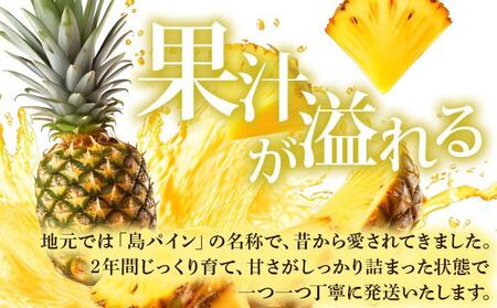 【先行予約】夏実パイン（ハワイ種）大玉3個 計3.9kg《2026年7月下旬発送》【 産地直送 沖縄 石垣 フルーツ パイナップル パイン ハワイ 夏実パイン 】SI-48-1