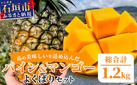 《2026年6月中旬以降発送》島の美味しいを詰め込んだ、パイン＆マンゴーのよくばりセット！【 沖縄県 石垣市 石垣島 完熟 パイン パイナップル スナック マンゴー セット 詰め合わせ 産地直送 】TF-24_R8