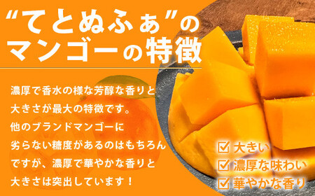 《2026年6月中旬以降発送》島の美味しいを詰め込んだ、パイン＆マンゴーのよくばりセット！【 沖縄県 石垣市 石垣島 完熟 パイン パイナップル スナック マンゴー セット 詰め合わせ 産地直送 】TF-24_R8