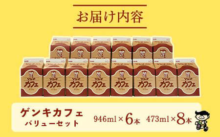 【ふるさと納税限定】ゲンキカフェバリューセット【八重山ゲンキ乳業】【日本最南端の乳業】【伊盛牧場産 生乳100％使用】GN-5-1
