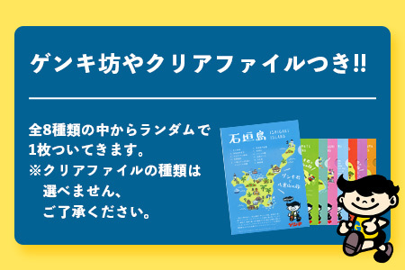 【ふるさと納税限定】八重山ゲンキ乳業 ゲンキさんぴん茶ミルクティーバリューセット【 石垣 ミルクティー さんぴん茶 ゲンキ乳業 】GN-6