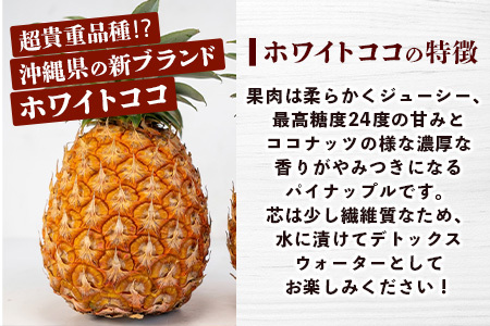 【マツコの知らない世界で絶賛！】《2025年5月以降順次発送》[先行予約] 最高糖度20度！？ 完熟の極 石垣島産幻のパイナップル ホワイトココ2個セット |【 沖縄 石垣島 石垣 八重山 パイン パイナップル 期間限定 数量限定 TV テレビ 紹介 マツコ 】TF-2_R7