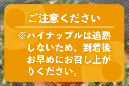 【マツコの知らない世界で絶賛！】《2025年5月以降順次発送》[先行予約] 最高糖度20度！？ 完熟の極 石垣島産幻のパイナップル ホワイトココ2個セット |【 沖縄 石垣島 石垣 八重山 パイン パイナップル 期間限定 数量限定 TV テレビ 紹介 マツコ 】TF-2_R7