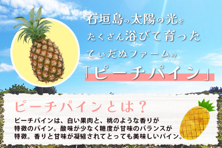 石垣島産 ピーチパイン 3～4玉セット 約3㎏【 産地直送 石垣島産 石垣 完熟 パイン パイナップル 】TD-5