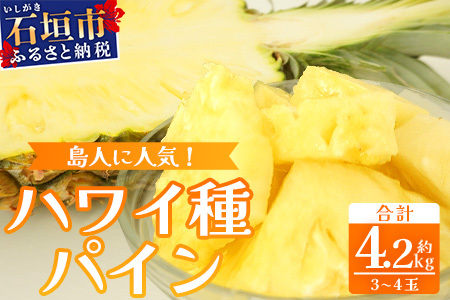 【2026年7月上旬から順次発送】石垣島産 ハワイ種パイン 3～4玉セット 約4.2・【 産地直送 石垣島産 石垣 完熟 パイン パイナップル 】TD-7