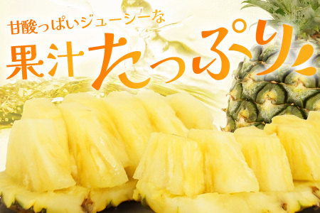 【2026年7月上旬から順次発送】石垣島産 ハワイ種パイン 3～4玉セット 約4.2・【 産地直送 石垣島産 石垣 完熟 パイン パイナップル 】TD-7