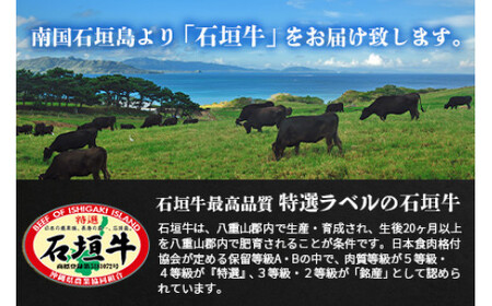 石垣牛・すき焼き用もも 500g 冷凍便 | 沖縄県 石垣市 牛肉 お肉 すきやき スキヤキ 鍋 SI-84