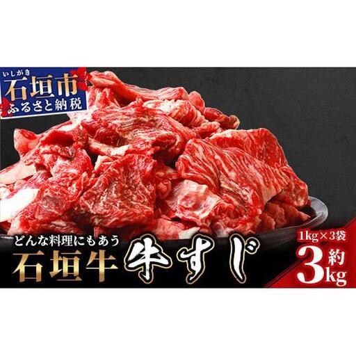 石垣牛・牛すじ ３kg （1kg×3） 冷凍便【 沖縄県 石垣市 牛肉 お肉 牛スジ 牛筋 煮込み おでん カレー 】 SI-86
