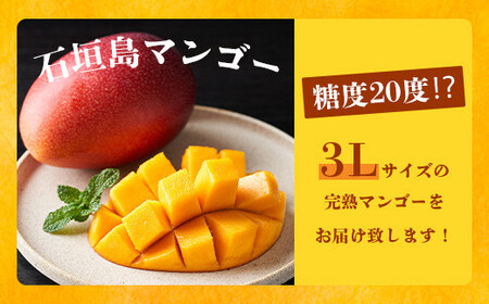 《2026年6月下旬～7月発送》【先行予約】最高糖度20度！？ 完熟！3Lサイズ 石垣島マンゴー 3玉入り【 沖縄 石垣島 石垣 八重山 マンゴー 完熟 期間限定 数量限定 沖縄県 石垣島産 】TF-28_R8