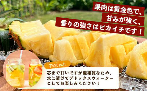 《2026年5月中旬以降順次発送》【先行予約】香りに溺れる！？ 完熟の極 てとの黄金パイン大玉約2kg【 沖縄 石垣 ゴールデン パイン パイナップル 完熟 セット フルーツ デザート オリジナル 】 TF-31_R8