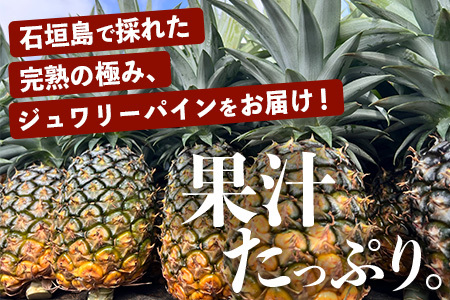 《2025年4月～6月順次発送》【先行予約】完熟の極 石垣島産パイナップル　超大満足の食べ比べセット　スナック＆ピーチ＆ジュワリー3種の食べ比べセット【 沖縄 石垣 ピーチ スナック ジュワリー パイン パイナップル 完熟 セット フルーツ デザート 食べ比べ 3種 】 TF-34