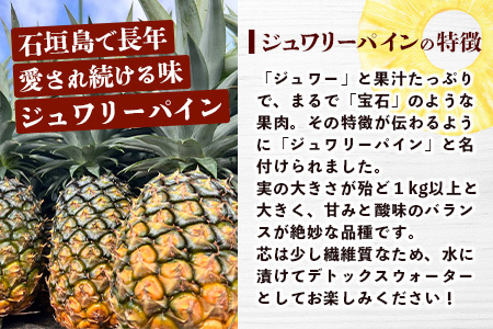 【マツコの知らない世界で絶賛！】《2025年4月以降発送》【先行予約】パイナップル好きにおすすめ！満足のパイナップル3品種定期便【 沖縄 石垣 ピーチ ホワイトココ ジュワリー パイン パイナップル 完熟 セット フルーツ デザート 食べ比べ 定期便 TV テレビ 紹介 マツコ 】 TF-36