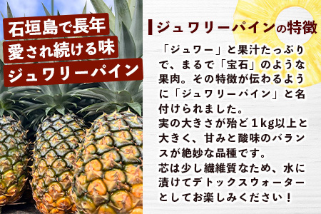 【マツコの知らない世界で絶賛！】《2025年4月以降発送》【先行予約】パイナップル好きにおすすめ！満足のパイナップル4品種定期便【 沖縄 石垣 ピーチ ホワイトココ ジュワリー スナック パイン パイナップル 完熟 セット フルーツ デザート 食べ比べ 定期便 TV テレビ 紹介 マツコ 】 TF-37