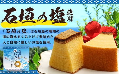 石垣島 やし屋手作り 石垣の塩バウムクーヘン×1箱 ＆ 黒糖バウムクーヘン×1箱（合計2箱）【 沖縄県 石垣市 石垣島 石垣の塩 菓子 バウムクーヘン さとうきび 黒糖 】YA-3