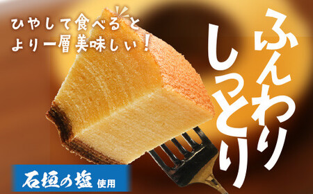 石垣島 やし屋手作り 石垣の塩バウムクーヘン×1箱 ＆ 黒糖バウムクーヘン×1箱（合計2箱）【 沖縄県 石垣市 石垣島 石垣の塩 菓子 バウムクーヘン さとうきび 黒糖 】YA-3