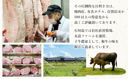 担当者イチオシ!! 石垣産《黒毛和牛》石垣島 島牛ハンバーグ 100g×10個 |和牛 牛肉 冷凍 ハンバーグ 人気 おすすめ 国産 国産牛 小分け 八重山食肉センター 黒毛和牛専門店 肉匠丸富 YC-7