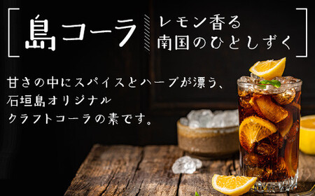 島コーラ 2本セット【沖縄県 石垣島 コーラ クラフトコーラ ハーブ ウコン スパイス】CS-1