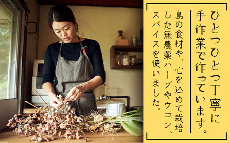 島コーラ 2本セット【沖縄県 石垣島 コーラ クラフトコーラ ハーブ ウコン スパイス】CS-1