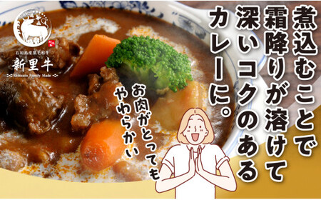 石垣島産 黒毛和牛 新里牛 多用途抜群！煮込み用贅沢角切り（500g×2） 合計1kg以上 カレー シチュー SZ-44