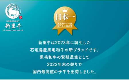 石垣島産 黒毛和牛 新里牛 多用途抜群！煮込み用贅沢角切り（500g×2） 合計1kg以上 カレー シチュー SZ-44